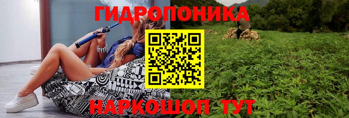 Шишки марихуана планчик Карпинск